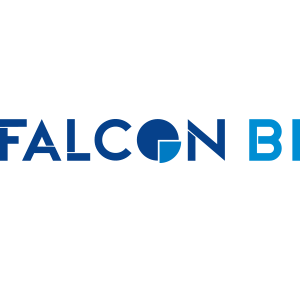 Falconsoft